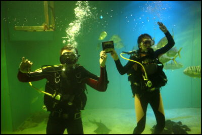 Muzikál ATLANTIDA vychází na CD, herci ho pokřtili v největším mořském akváriu